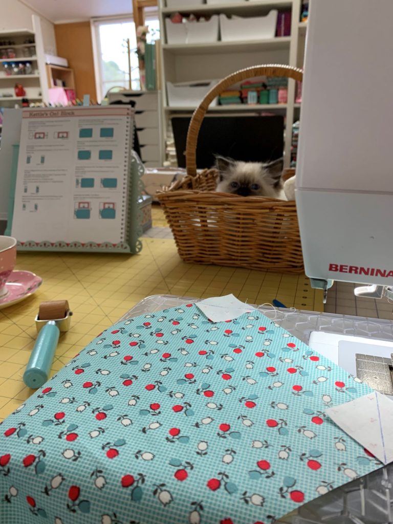 kitten in basket in sewing room