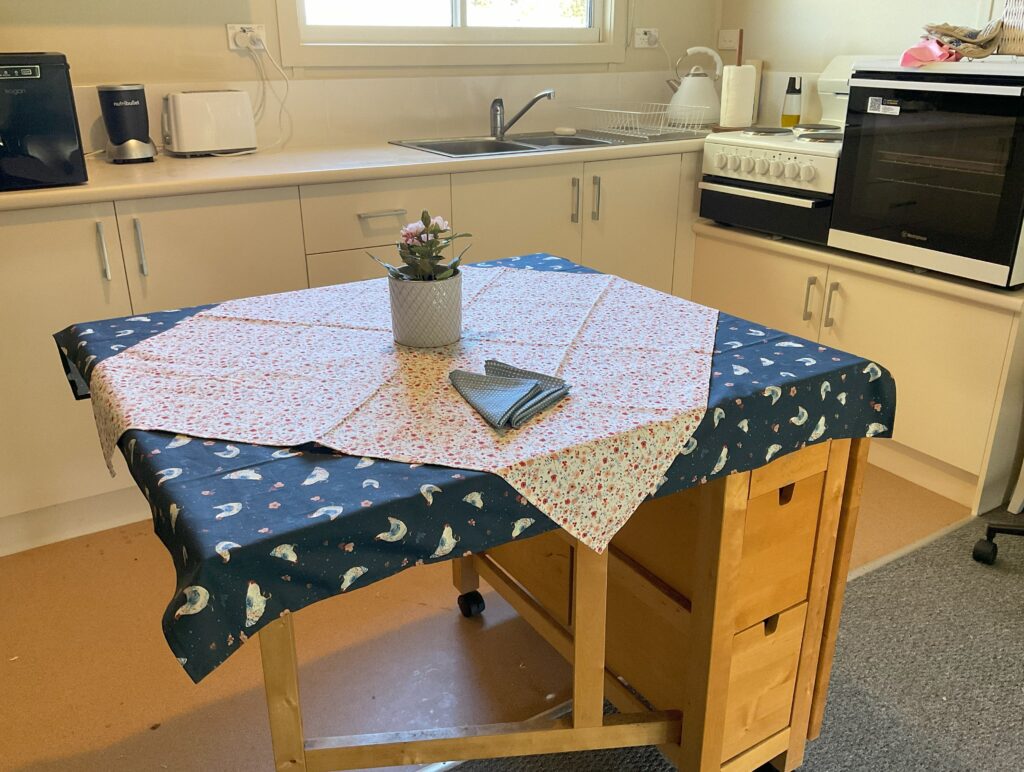 Picnic tablecloths and napkins.