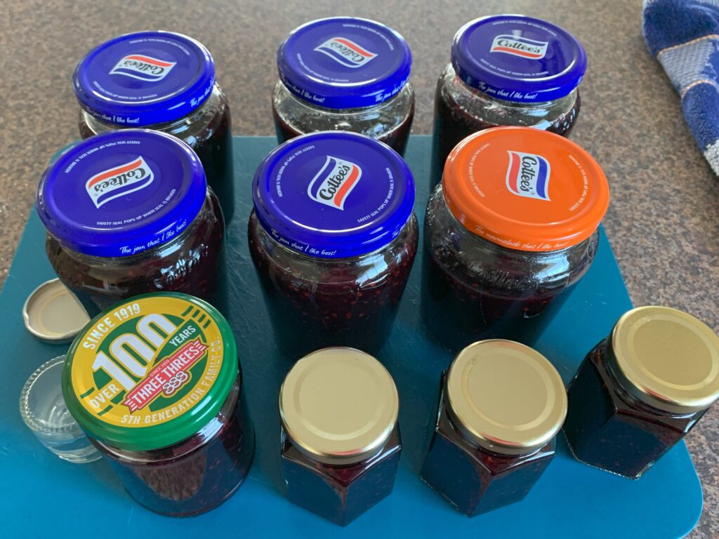 homemade blackberry jam on counter top waiting to cool down