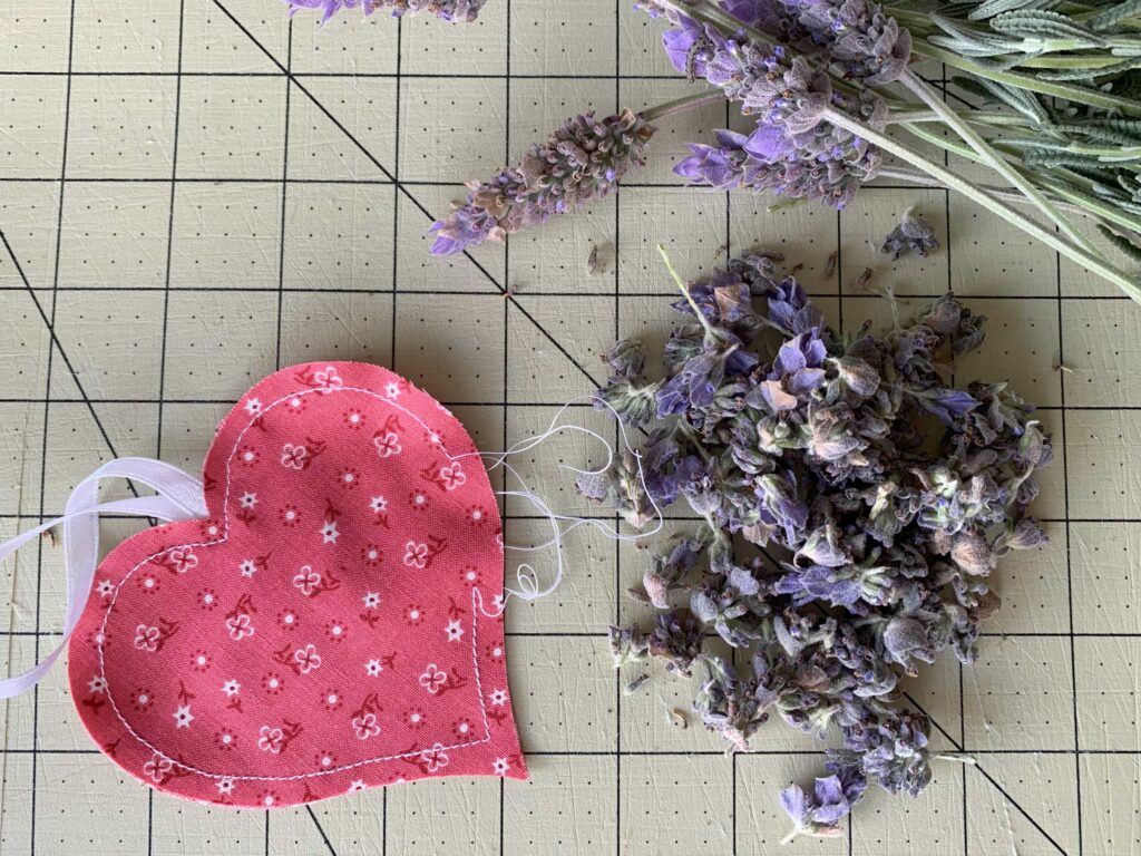 Filled heart shaped sachet with lavender. Step 5 in How to Make an Easy Lavender Heart Sachet ~ Tutorial #lavender #lavenderflowers #lavendersachet #lavendersachets #diylavendersachet #lavendersachettutorial #lavendersachetbags #sewlavendersachet #diytutorial #sewingtutorial #diygifts 