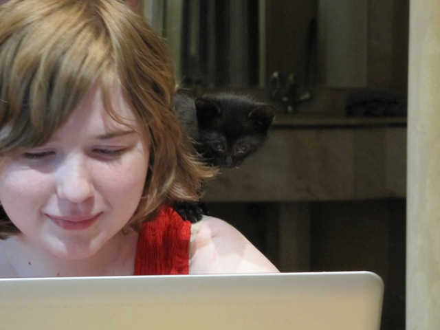 little black kitten sitting on girl's shoulder