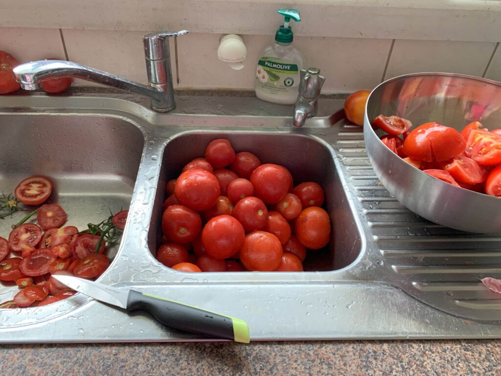 Tomatoes in sink being washed, cut and ready to cook and bottle.