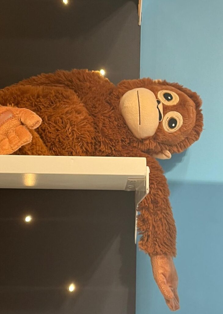 Soft toy orangutan in Ikea in Richmond, Melbourne