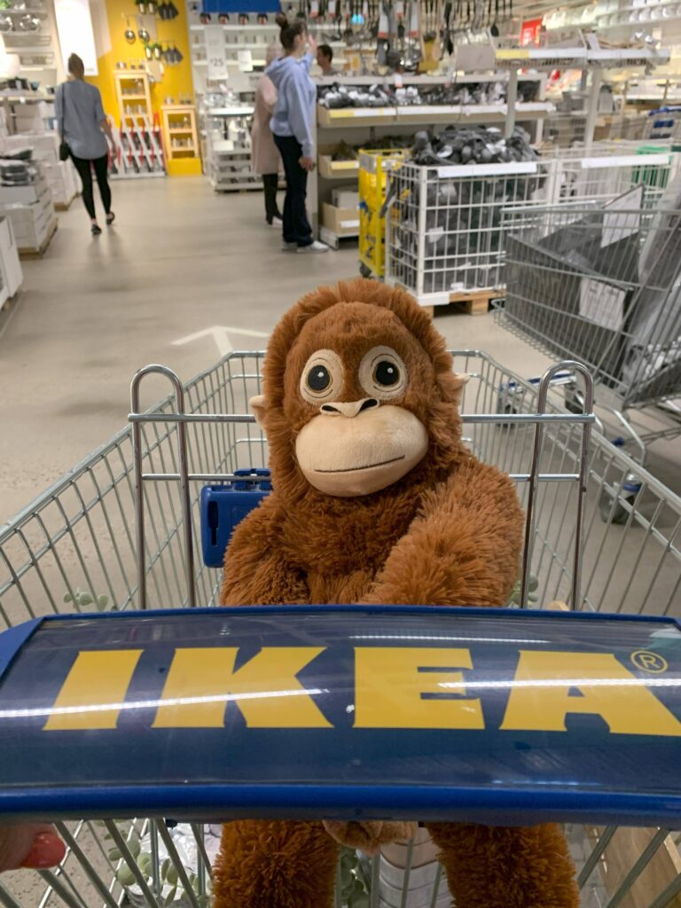 Soft toy orangutan in shopping trolley  in Ikea in Richmond, Melbourne