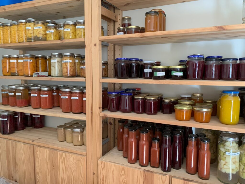 Bottles of homegrown and home made canned fruit, tomatoes, jams and relishes on Ikea Ivar shelving.